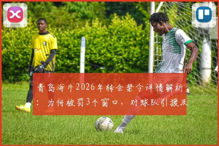 青岛海牛2026年转会禁令详情解析：为何被罚3个窗口，对球队引援及赛季目标有何深远影响